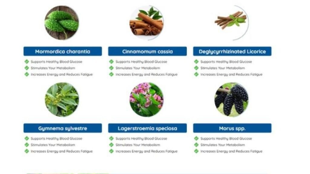 Gluco Extend ingrediets